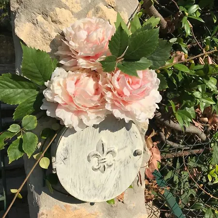 招待所 Matilde 维罗纳