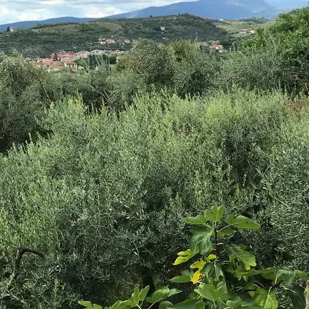 Matilde بيت ضيافة فيرونا